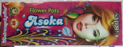 Flower Pot Asoka Sivakasi Crackers